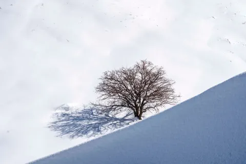 Snow Field 4K Wallpaper · minimal · 3840×2560