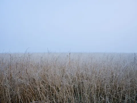 Snow Field 4K Wallpaper · minimal · 3840×2880