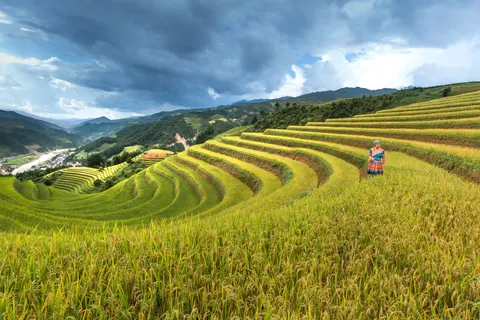 계단식 논 4K 배경화면 · nature · 3840×2561