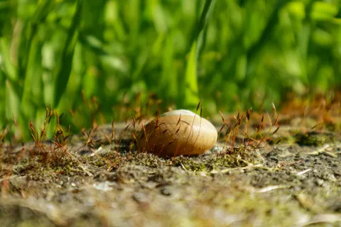 Zen Stones 4K Wallpaper · minimal · 3840×2560