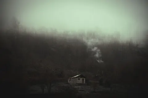 Misty Woods 4K Wallpaper · minimal · 3840×2560