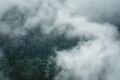 Misty Woods 4K Wallpaper · minimal · 3840×2560