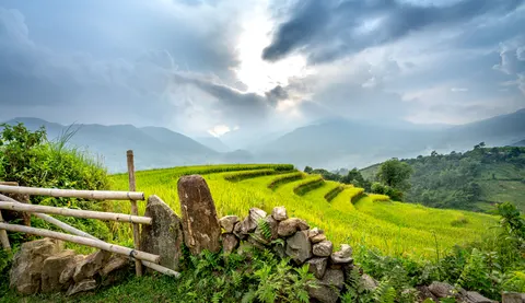 Fond d'écran Rizières en terrasses 4K · nature · 3840×2217