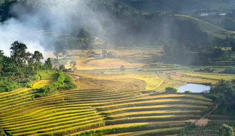 Fond d'écran Rizières en terrasses 4K · nature · 3840×2233