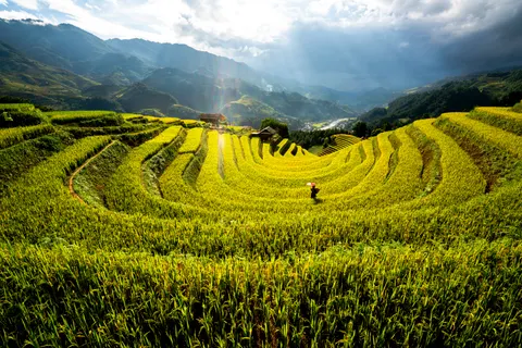 Rice Terraces 4K Wallpaper · nature · 3840×2561