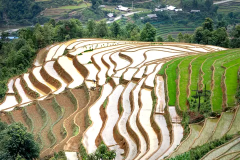 Rice Terraces 4K Wallpaper · nature · 3840×2560