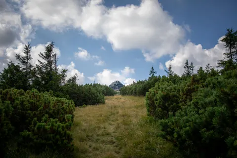 Mountain Trail 4K Wallpaper · mountains · 3840×2560