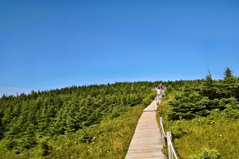 Mountain Trail 4K Wallpaper · mountains · 3840×2560