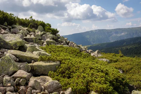 Fond d'écran Sentier de montagne 4K · mountains · 3840×2560