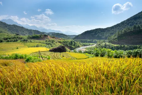 Rice Terraces 4K Wallpaper · nature · 3840×2561