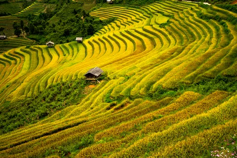 Rice Terraces 4K Wallpaper · nature · 3840×2561
