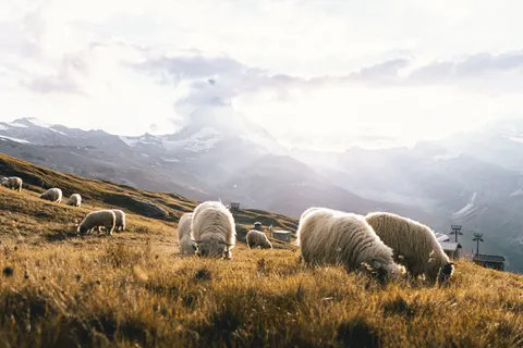 Matterhorn 4K Wallpaper · mountains · 3840×2560