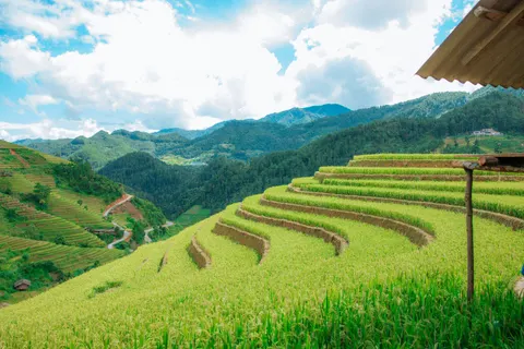 Rice Terraces 4K Wallpaper · nature · 3840×2560