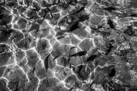 Underwater Reef 4K Wallpaper · underwater · 3840×2553