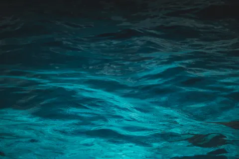Glowing Jellyfish 4K Wallpaper · underwater · 3840×2560