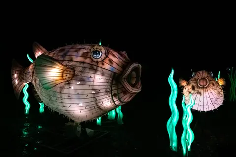 Glowing Jellyfish 4K Wallpaper · underwater · 3840×2560