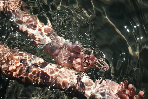 Diver 4K Wallpaper · underwater · 3840×2560