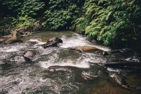 Jungle Waterfall 4K Wallpaper · waterfall · 3840×2560
