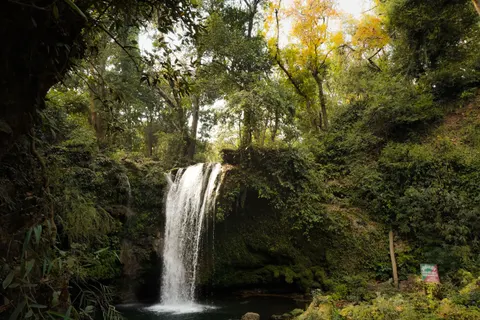 Jungle Waterfall 4K Wallpaper · waterfall · 3840×2560