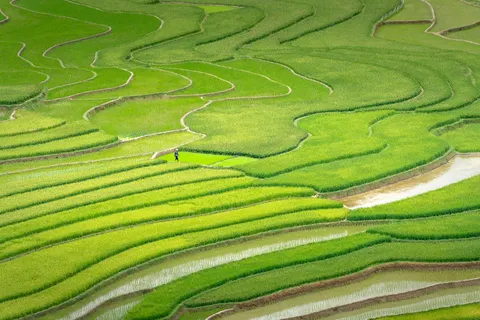 Fondo de pantalla Terrazas de arroz 4K · nature · 3840×2560