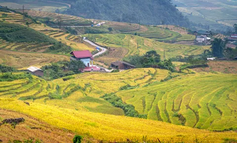 Rice Terraces 4K Wallpaper · nature · 3840×2326
