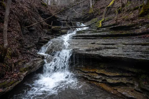 Forest Waterfall 4K Wallpaper · waterfall · 3840×2555