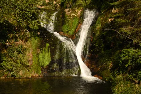 Forest Waterfall 4K Wallpaper · waterfall · 3840×2563