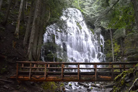Forest Waterfall 4K Wallpaper · waterfall · 3840×2553