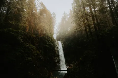 Forest Waterfall 4K Wallpaper · waterfall · 3840×2555