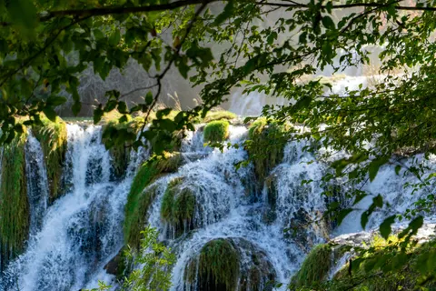 Forest Waterfall 4K Wallpaper · waterfall · 3840×2560