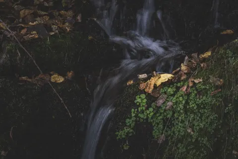 Forest Waterfall 4K Wallpaper · waterfall · 3840×2560