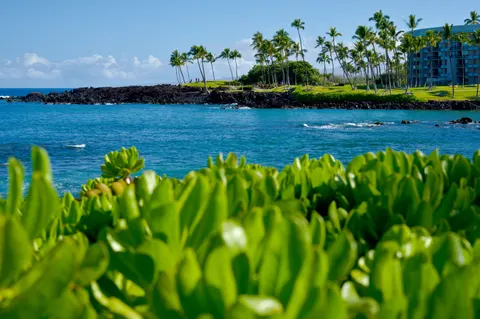 Tropical Paradise 4K Wallpaper · tropical · 3840×2556