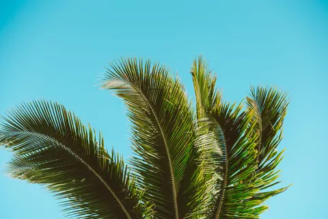 Tropical Paradise 4K Wallpaper · tropical · 3840×2560