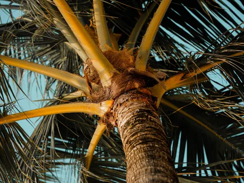 Tropical Paradise 4K Wallpaper · tropical · 3840×2882