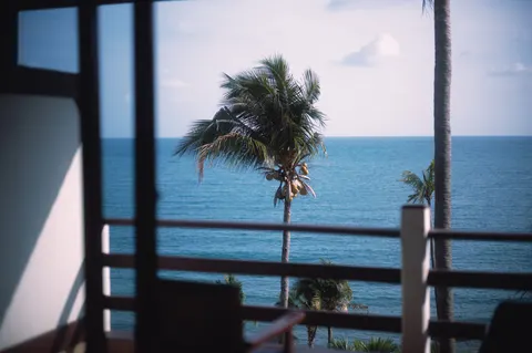 Tropical Paradise 4K Wallpaper · tropical · 3840×2550