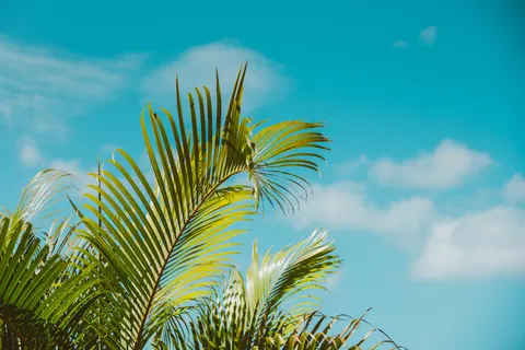 Tropical Paradise 4K Wallpaper · tropical · 3840×2560