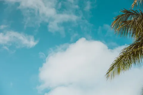 Tropical Paradise 4K Wallpaper · tropical · 3840×2560