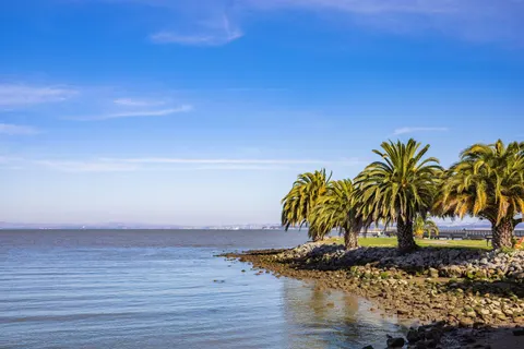 Palm Trees 4K Wallpaper · tropical · 3840×2560
