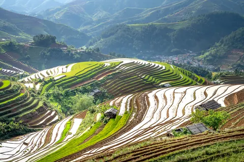 Rice Terraces 4K Wallpaper · nature · 3840×2560