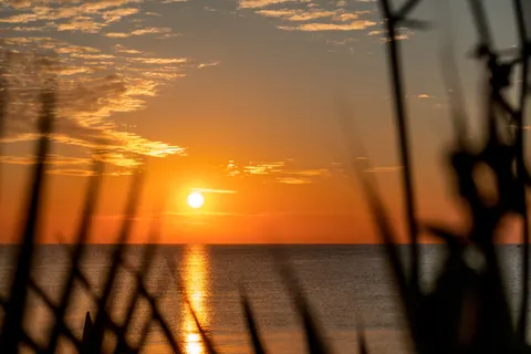 Tropical Sunset 4K Wallpaper · tropical · 3840×2560