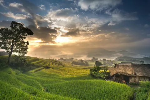 Rice Terraces 4K Wallpaper · nature · 3840×2561