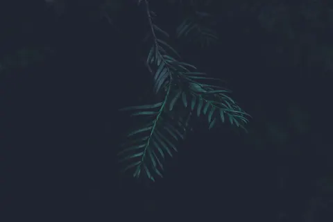 Dark Texture 4K Wallpaper · dark · 3840×2560