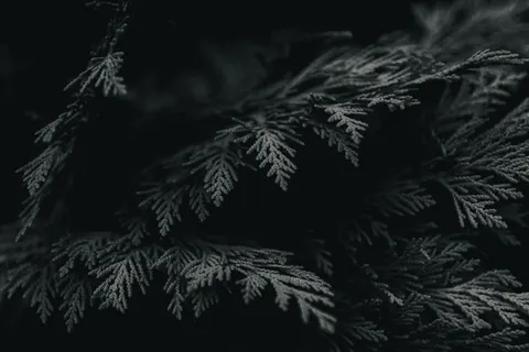 Dark Texture 4K Wallpaper · dark · 3840×2560