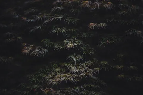 Dark Texture 4K Wallpaper · dark · 3840×2560