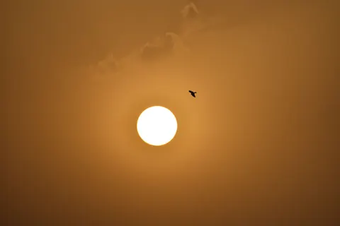 Golden Sunset 4K Wallpaper · sunset · 3840×2560