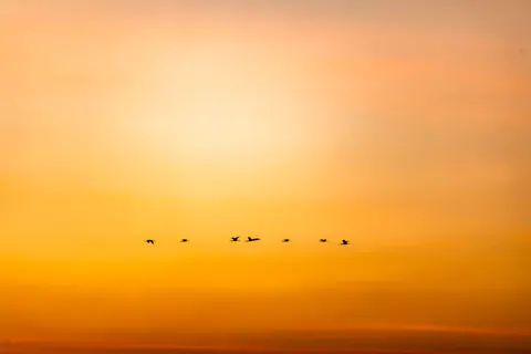 Golden Sunset 4K Wallpaper · sunset · 3840×2560