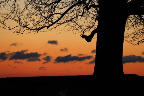 Sunset Silhouette 4K Wallpaper · sunset · 3840×2561