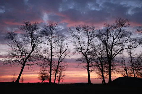 Sunset Silhouette 4K Wallpaper · sunset · 3840×2561