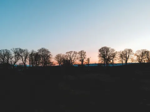 Sunset Silhouette 4K Wallpaper · sunset · 3840×2880