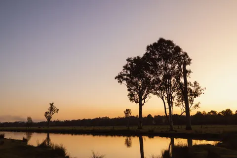 Sunset Silhouette 4K Wallpaper · sunset · 3840×2561